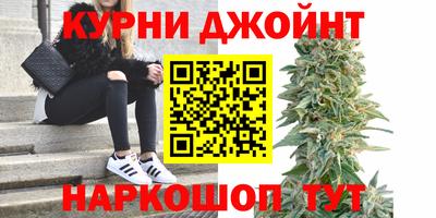 соль ск Новозыбков