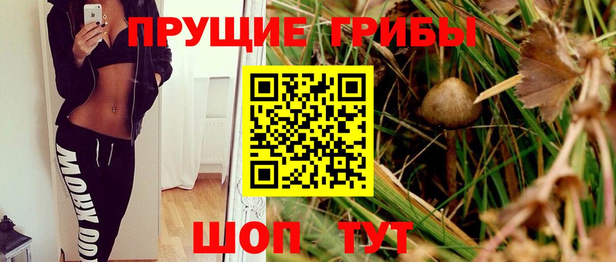 МЕФ   APVP СК   Тихвин  Бошки Шишки  ГАШ  МДМА  ГАШ  ТГК  Вход с VPN  Где купить 